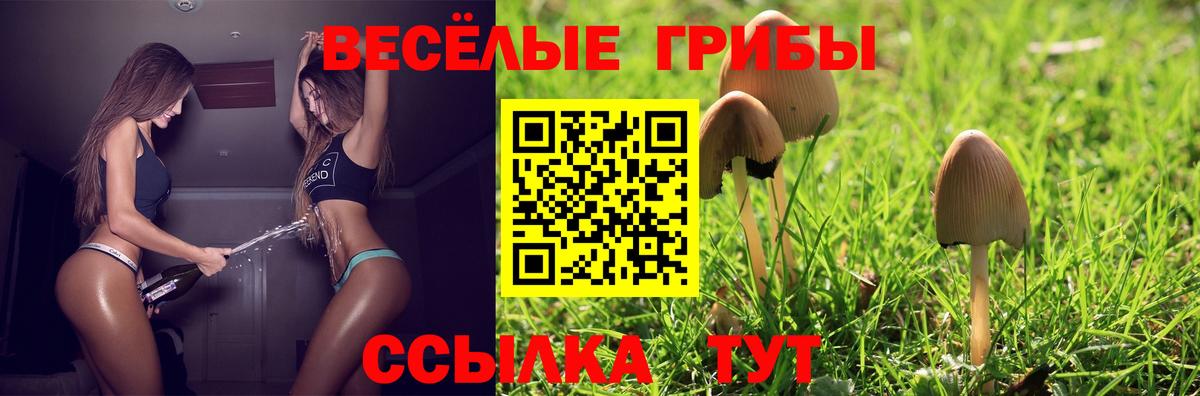 Верхняя Пышма  Галлюциногенные грибы Magic Shrooms  Вход с VPN 